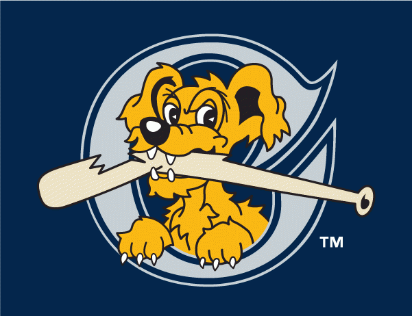 Charleston Riverdogs 2011-2015 Cap Logo iron on transfers for T-shirts